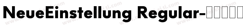 NeueEinstellung Regular字体转换
